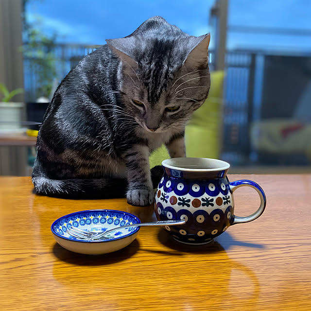 yuzuaoさんの実例写真