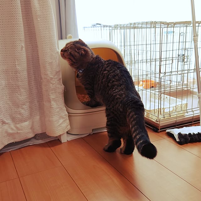 noguriさんの実例写真
