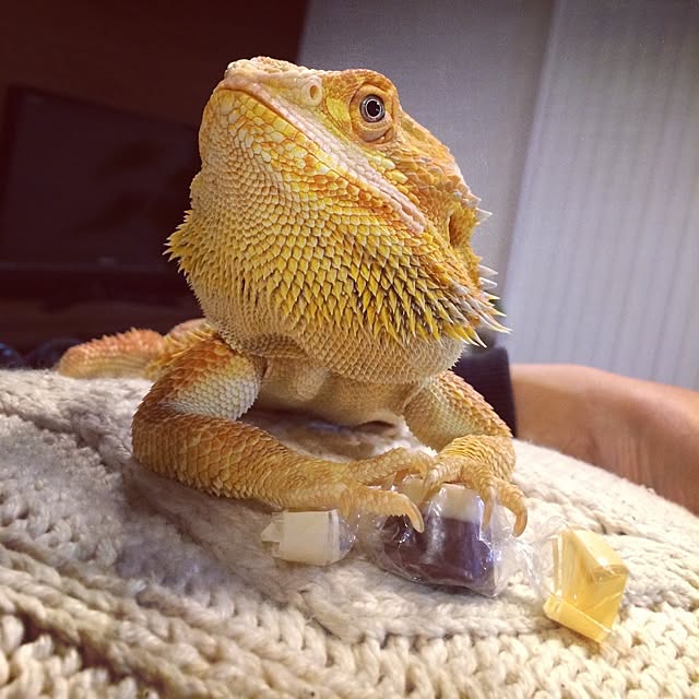 yukiさんの実例写真