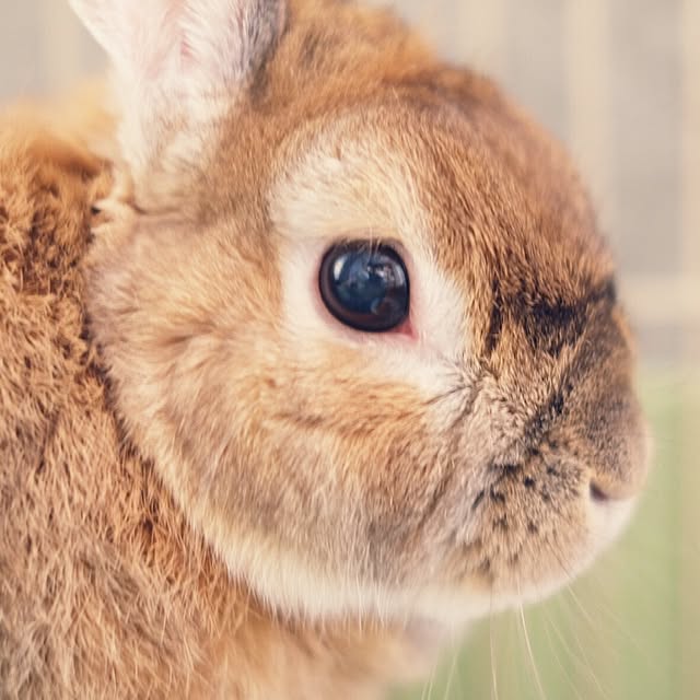taka55さんの実例写真