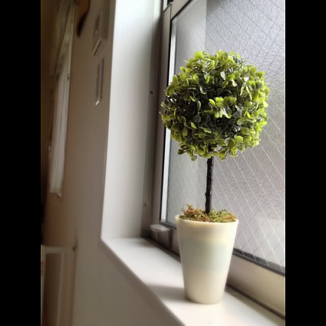 koenyokoさんの実例写真