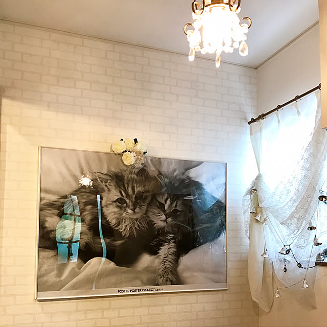 butachanさんの実例写真