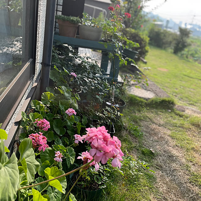 natsumiさんの実例写真