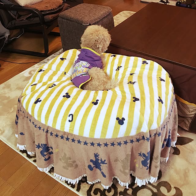 ronmaruさんの実例写真