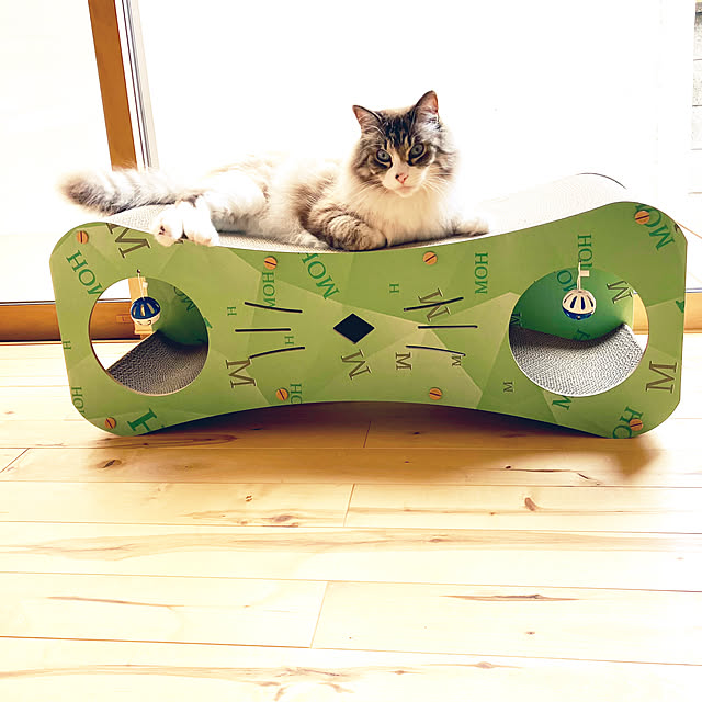masyacanonさんの実例写真