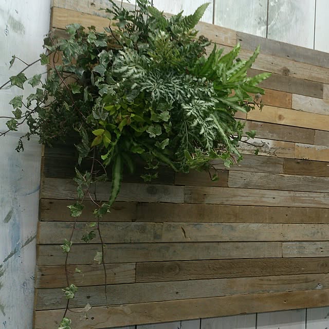 GreenWorksさんの実例写真