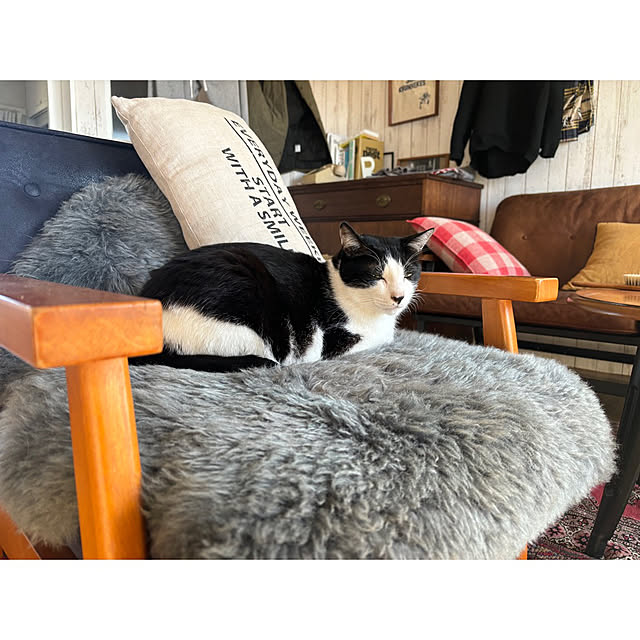 TSUYOSHI.さんの部屋