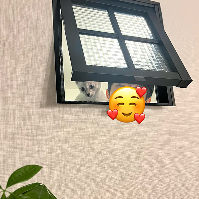 amさんの部屋