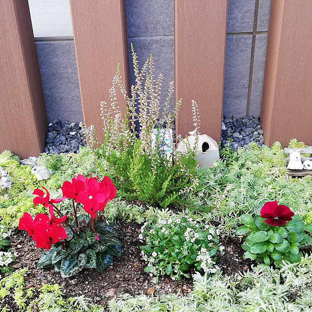 ichigo82さんの実例写真