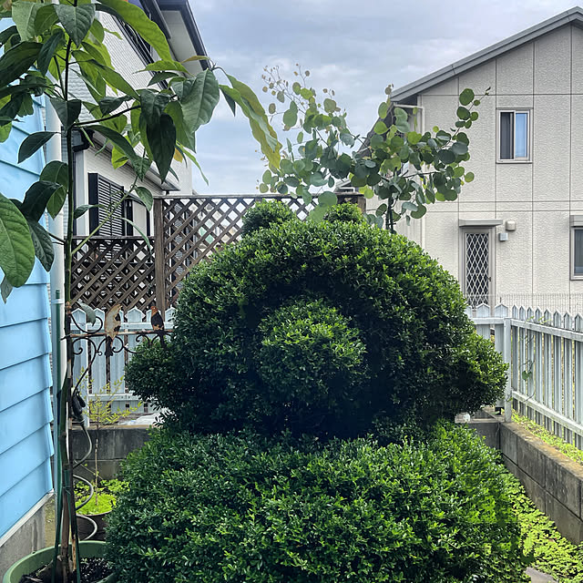 Ohigeさんのお部屋の写真