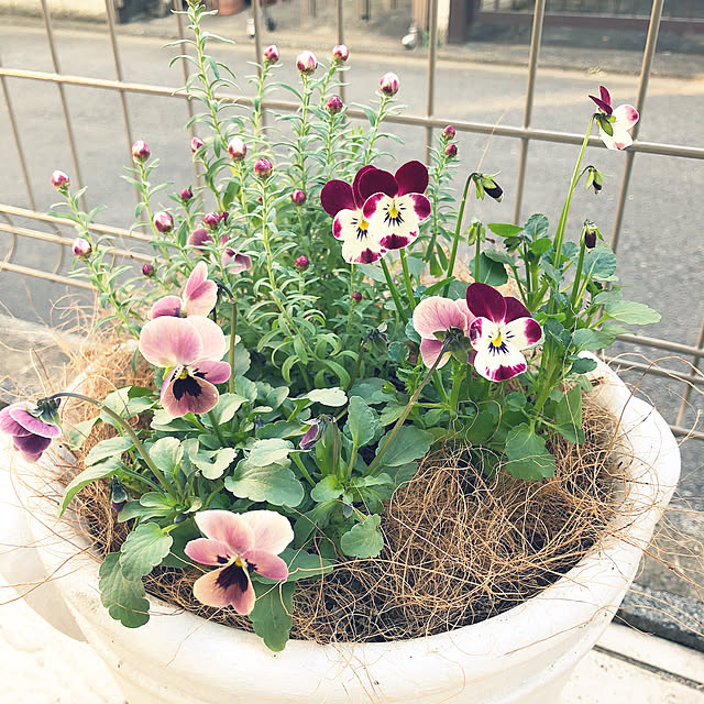 nakabaさんの実例写真