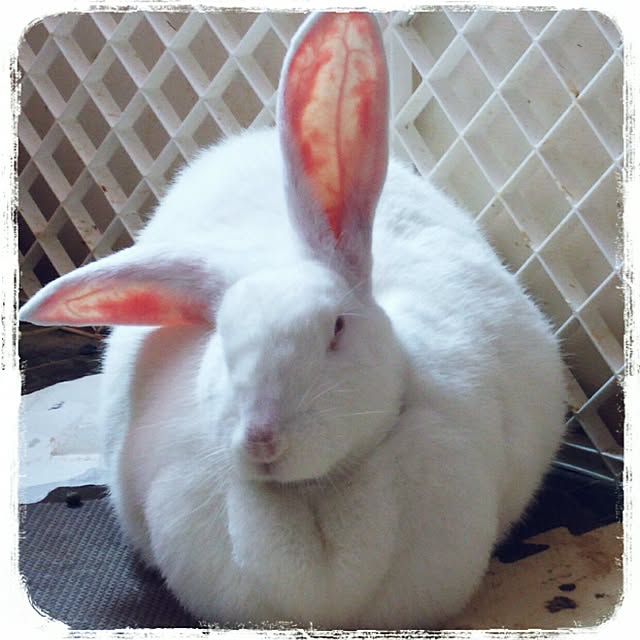 Mikaさんの実例写真