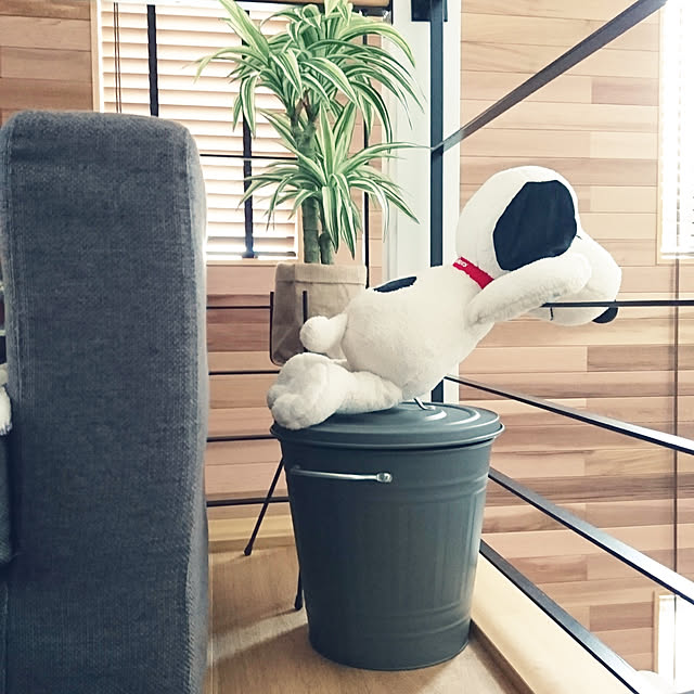 reiさんの実例写真