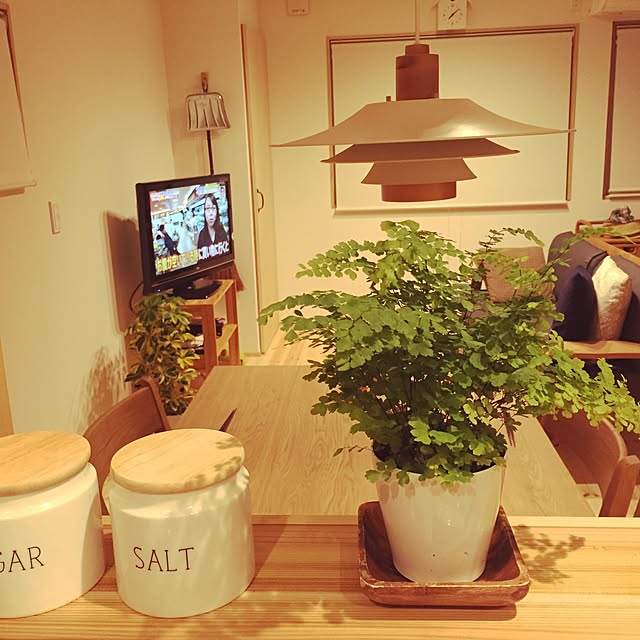 tamaさんの実例写真