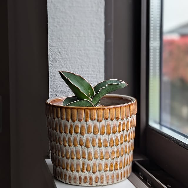 kumijiさんの実例写真