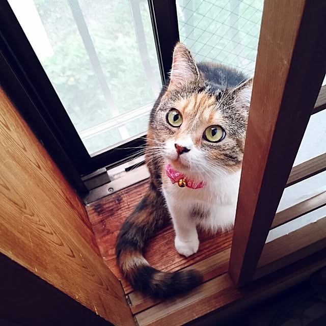 yukieさんの実例写真