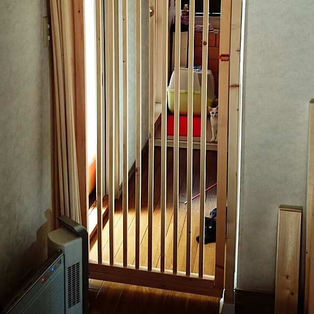 Petaさんの実例写真