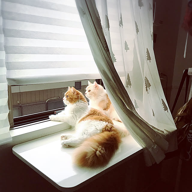 H.Tさんの実例写真