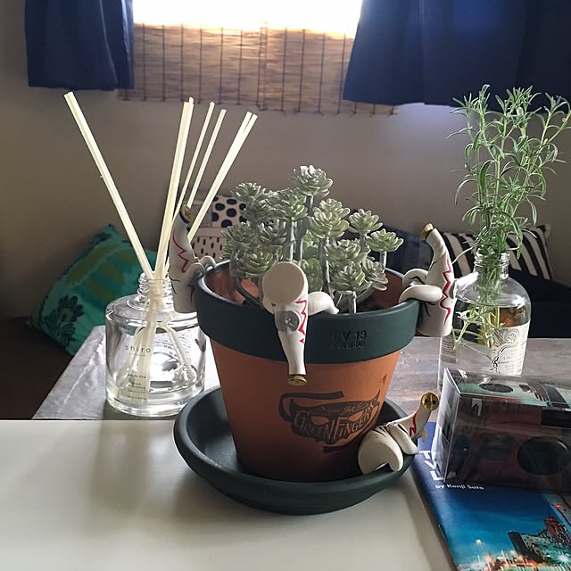 pascalさんの実例写真
