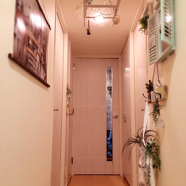 nonさんの実例写真