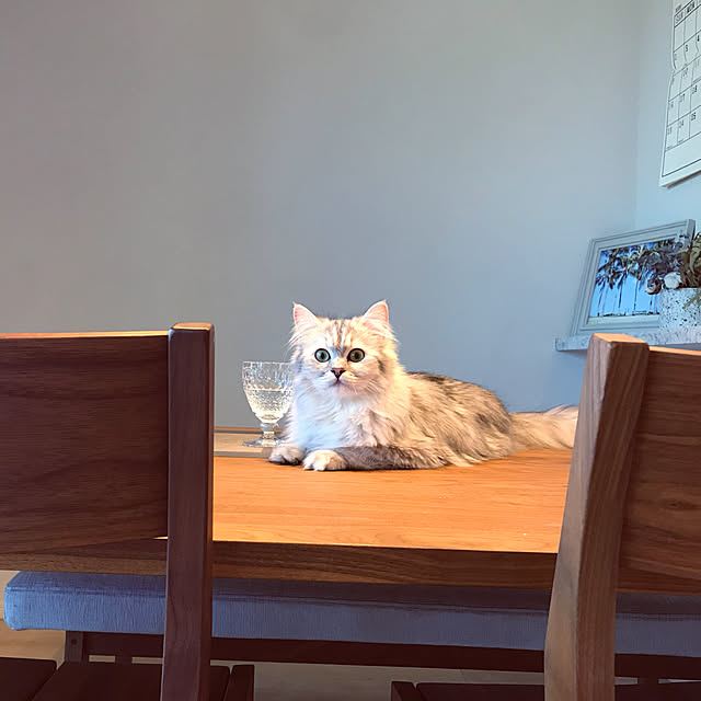 wataame.ameさんの実例写真