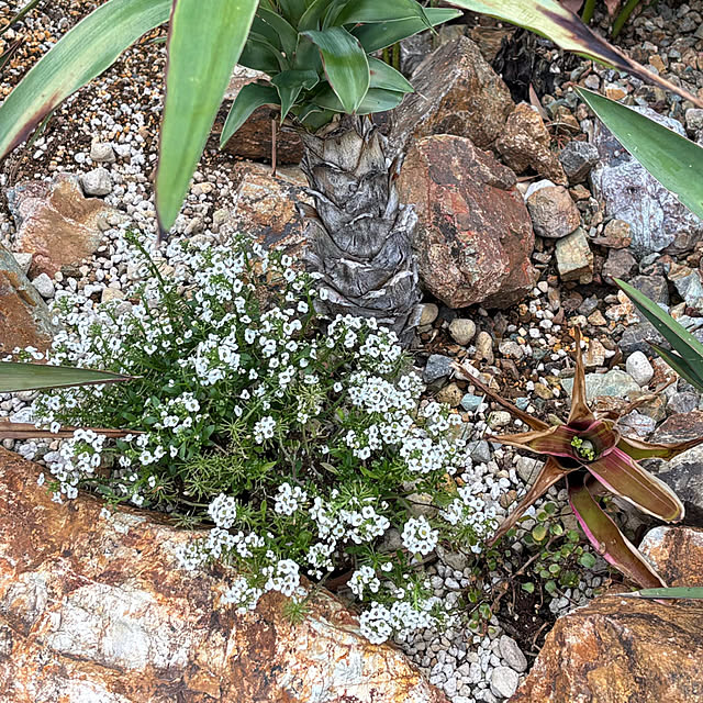 bonber0212さんの実例写真