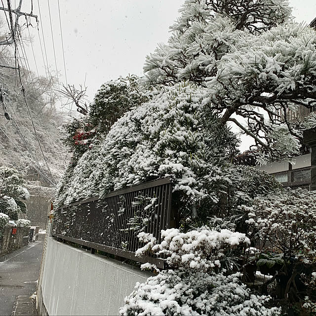 Aqettyさんの実例写真