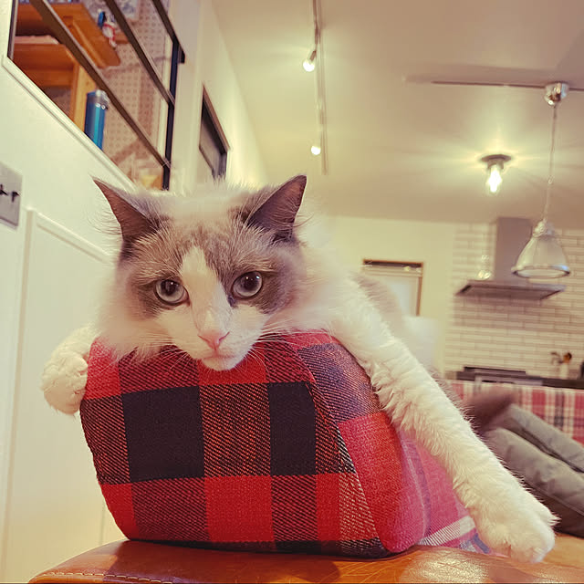 KJmaedaさんの実例写真