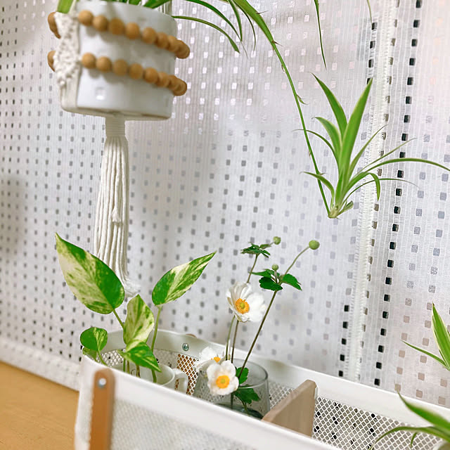 sunabaさんの部屋