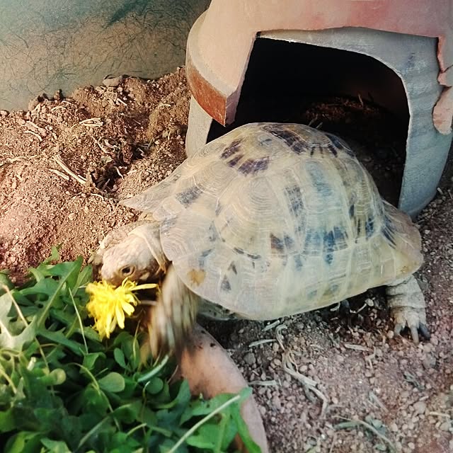 UGさんの実例写真