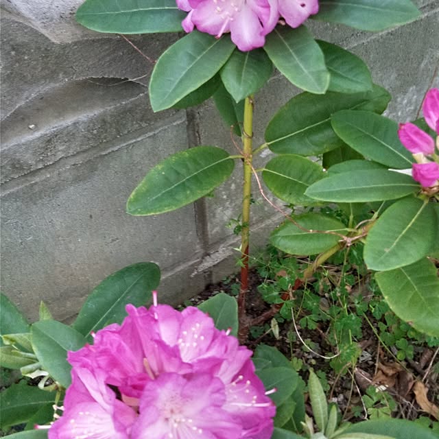 Yoshietanka3492さんの実例写真