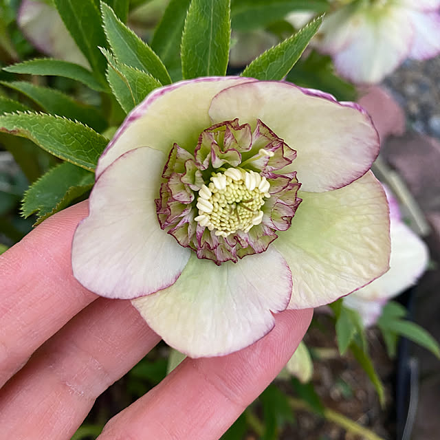 uraraさんの部屋