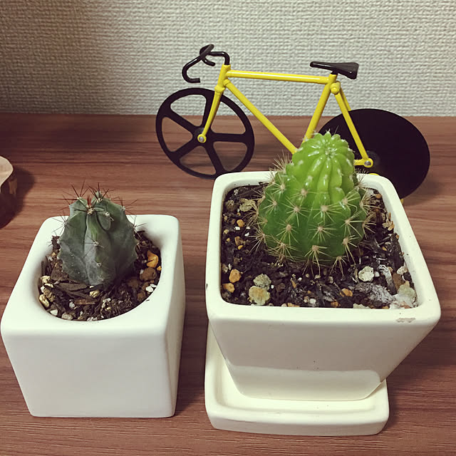nenjumoさんの実例写真
