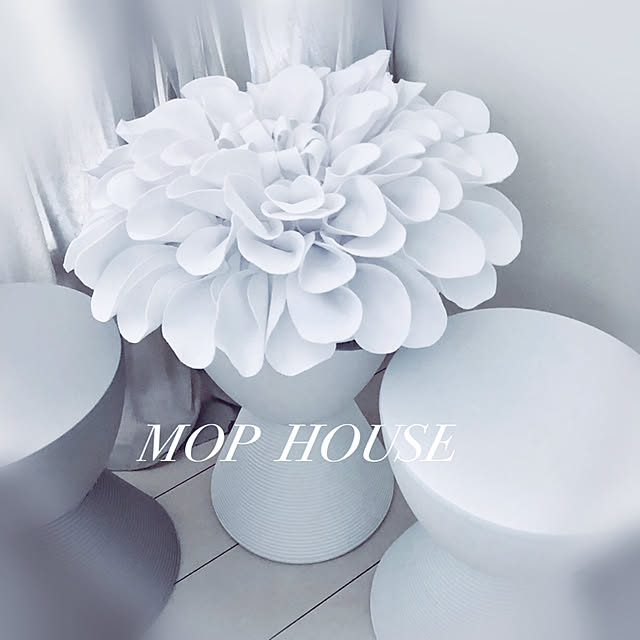 Mopmamaさんの実例写真