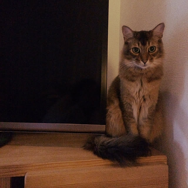 Yumiさんの実例写真