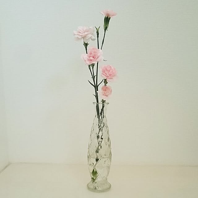 snowchan0209さんの実例写真