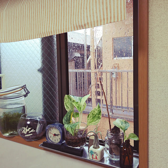 miyukichiさんの実例写真