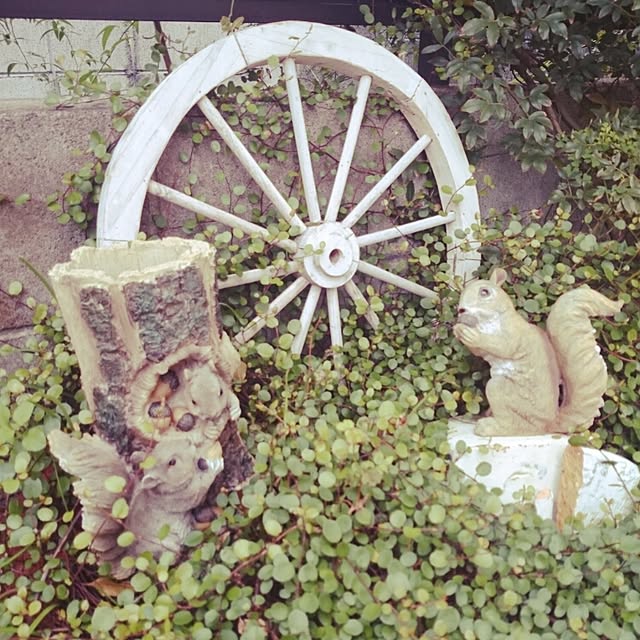 chicchiさんの実例写真