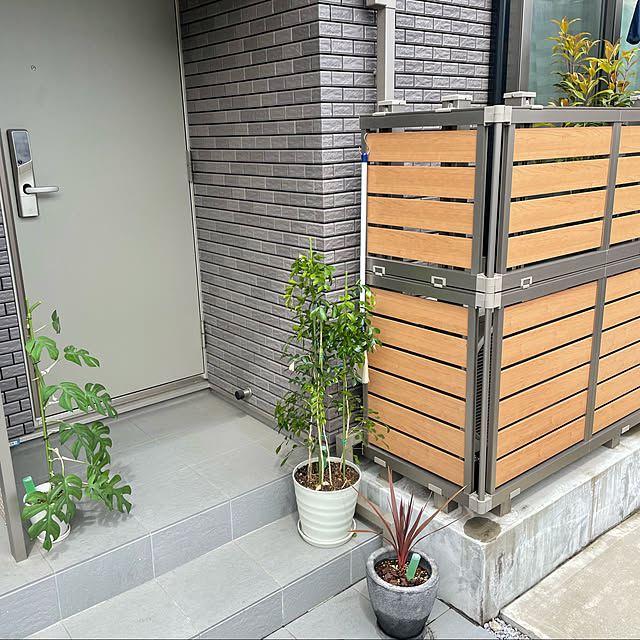 観葉植物/玄関/入り口のインテリア実例 - 2022-05-11 07:15:12