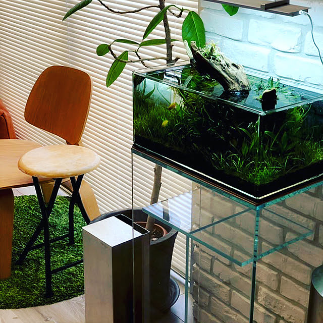 aquarist_tkさんの実例写真