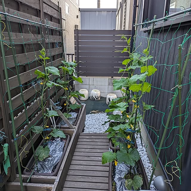 Kaoriさんの部屋
