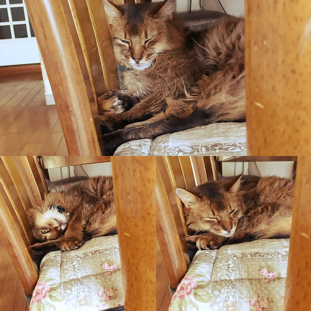 yukarinさんの実例写真