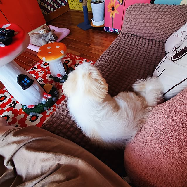 kumutanさんの部屋