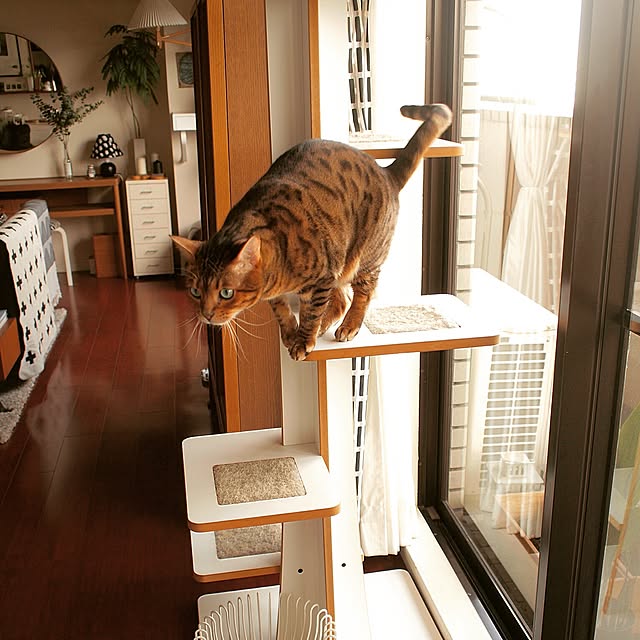 valekさんの実例写真