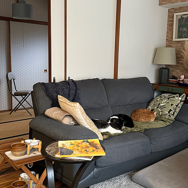 okyosan101さんの実例写真