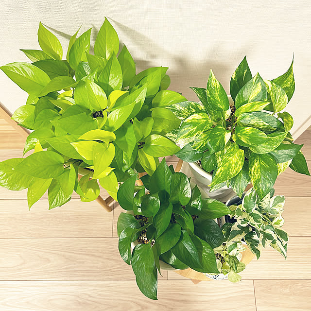 yoyoyoさんの部屋