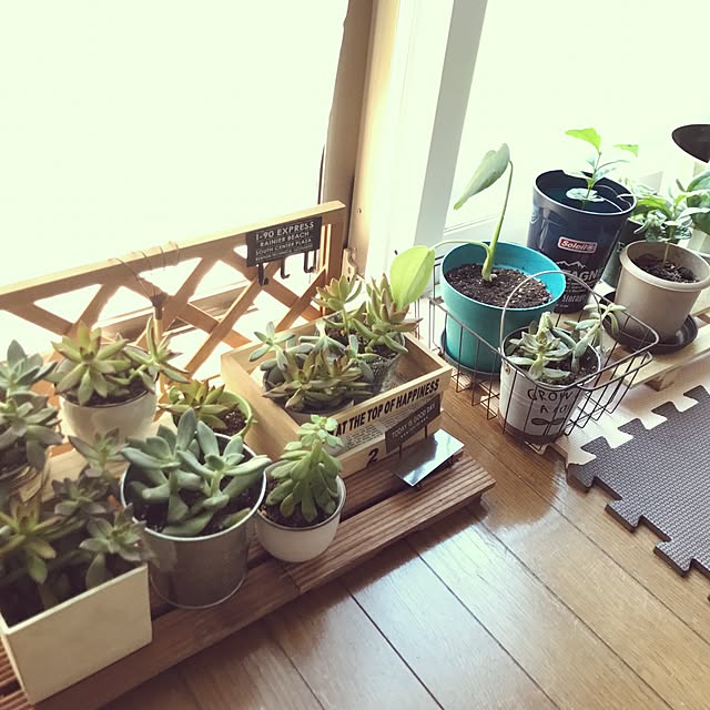 hanaさんの実例写真