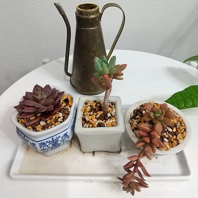 Rさんの部屋