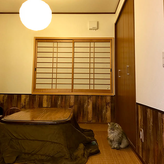 butachanさんの実例写真