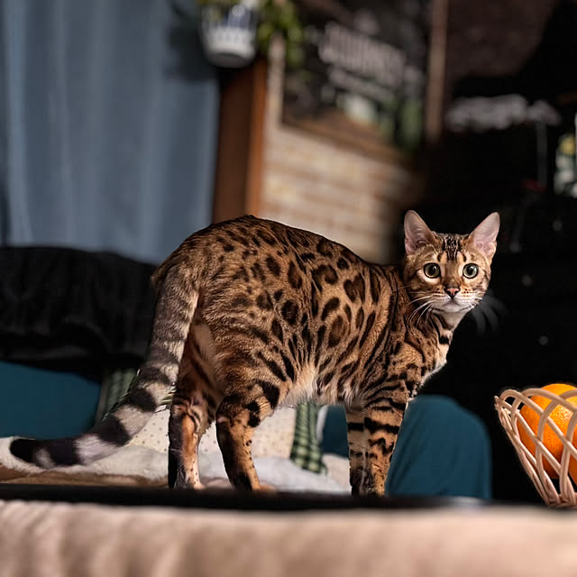 tututu0204さんの部屋